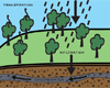 Natural Water Cycle