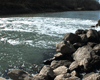 Water Quality